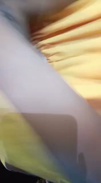 No panties dance in a tarven.